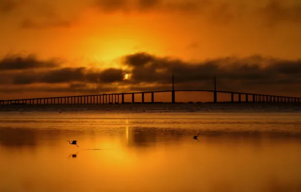 Picture landscape, night, bridge, river