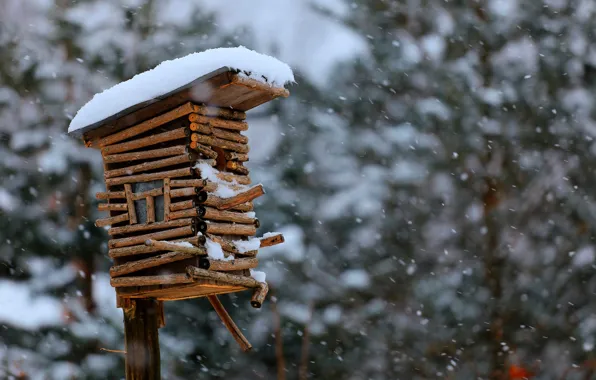 Snow, birdhouse, bokeh, birdhouse