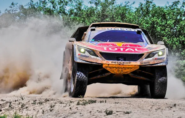 Sand, Dust, Sport, Speed, Race, Peugeot, Lights, Red Bull