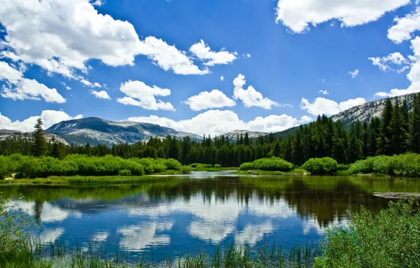 Picture greens, summer, the sky, clouds, mountains, lake, spring