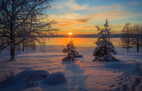 Winter, frost, the sky, clouds, rays, light, snow, trees