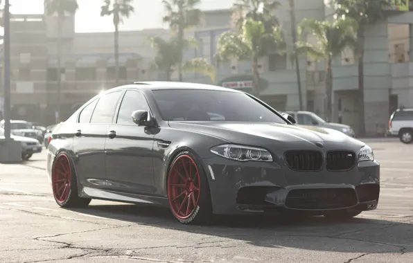 Picture BMW, Tuning, Boomer, BMW, f10