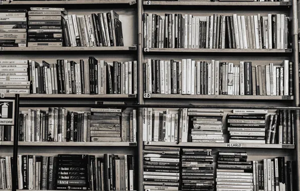 Picture books, shelf, library, books