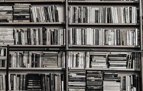 Books, shelf, library, books