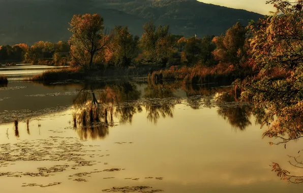 Autumn, forest, trees, mountains, reflection, shore, pond