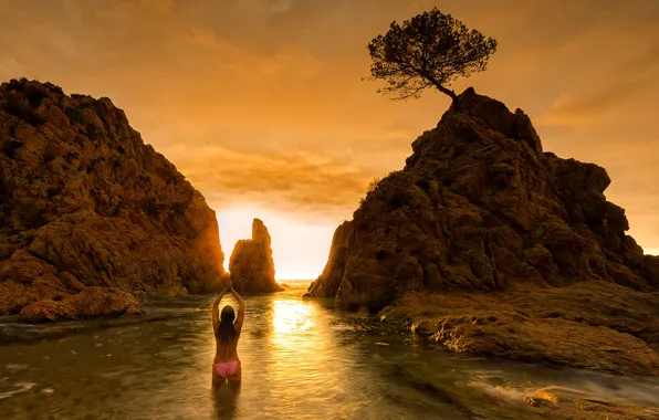 Sea, beach, girl, sunset, pose, tree, rocks, shore