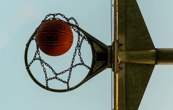 The ball, ring, basketball
