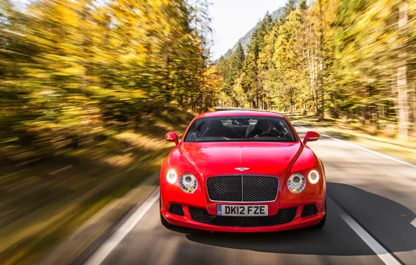 Red, Auto, Bentley, Continental, Forest, Machine, The hood, Lights