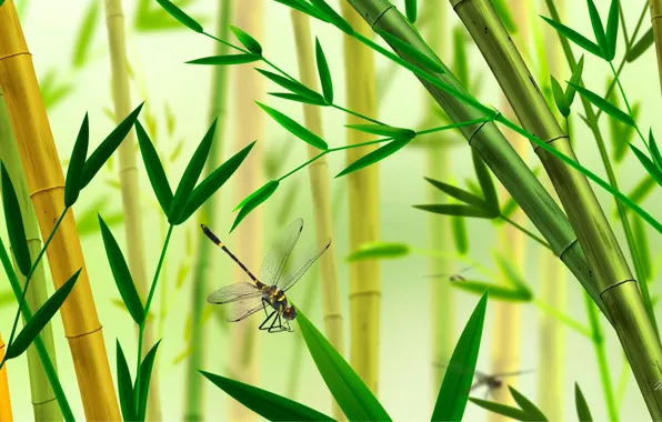 Nature, collage, plant, dragonfly, bamboo, insect