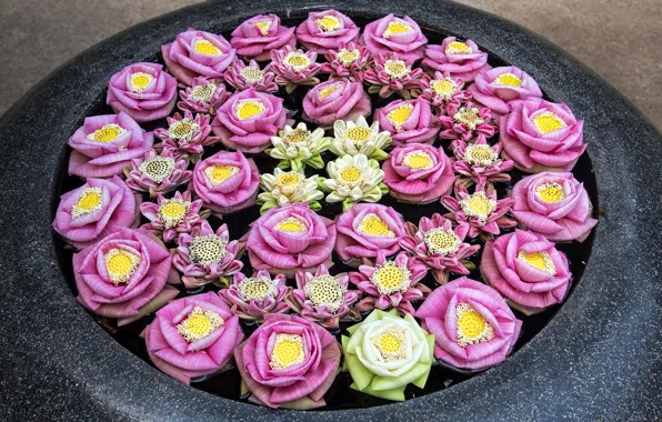 Water, flowers, pattern, round, petals, pink, Chan, ornament