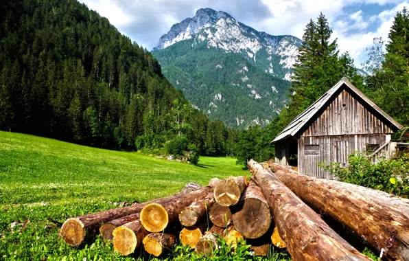 Freedom, mountains, green grass, logs, freedom, mountains, green grass, the beauty of nature