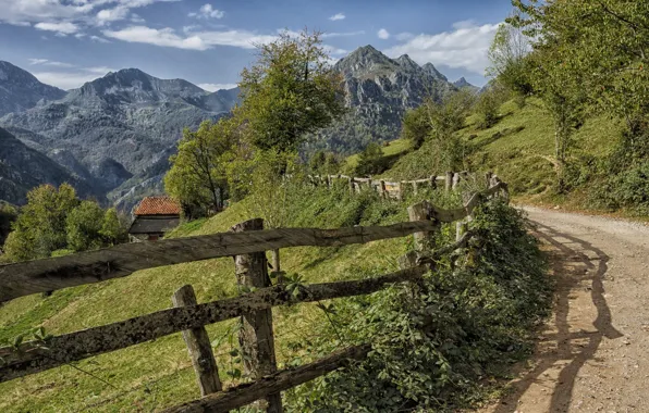 Road, landscape, nature, the fence, beauty