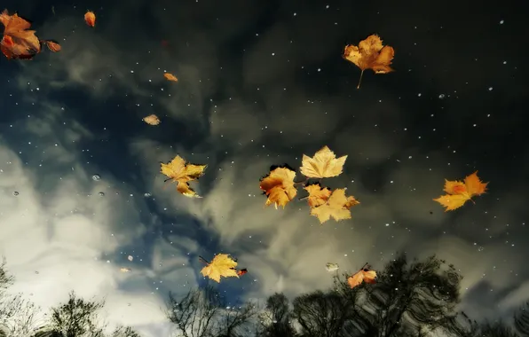 Autumn, the sky, leaves, water, clouds, reflection