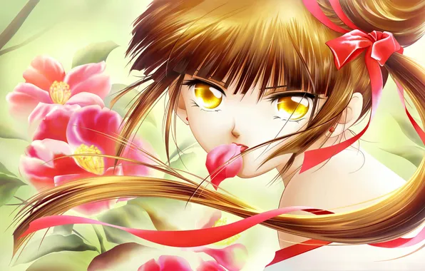 Picture look, girl, flowers, face, hair, anime, Princess, ribbon