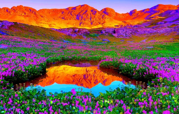 The sky, sunset, flowers, mountains, lake, meadow