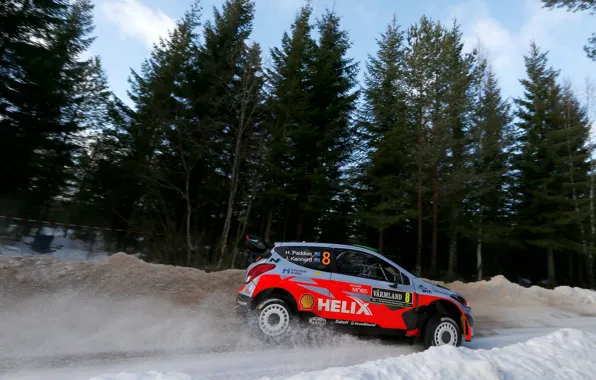 Hyundai, Sweden, WRC, Rally, i20, Paddon