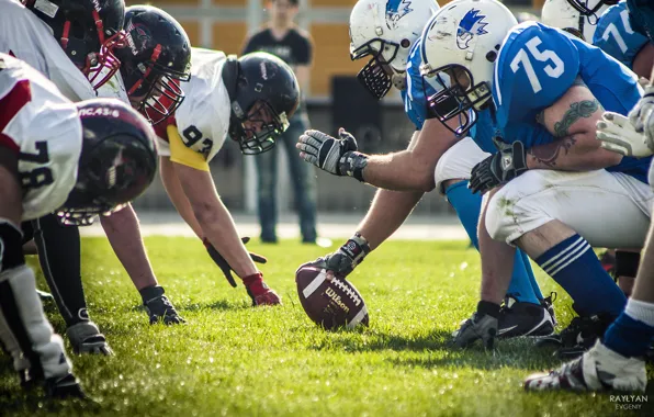 Grass, the ball, team, American football, Volga kites, Tees