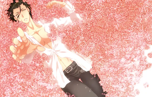 Flowers, hand, roses, guy, Lancer, The fate of the beginning, Fate / Zero