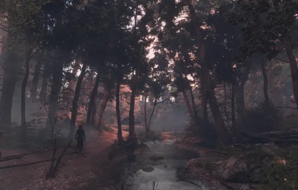 Forest, trees, river, a plague tale: innocence