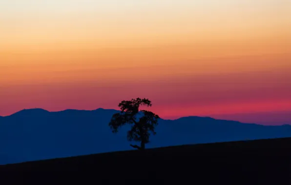 The sky, mountains, tree, slope, silhouette, glow