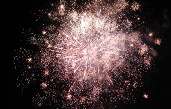 The sky, night, lights, holiday, salute, fireworks