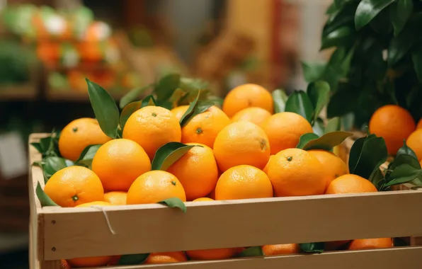 Leaves, oranges, harvest, box, a lot, AI art, neural network