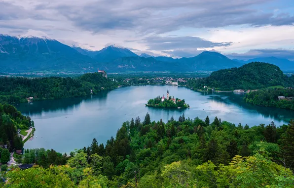 Forest, the sky, clouds, trees, mountains, fog, lake, blue