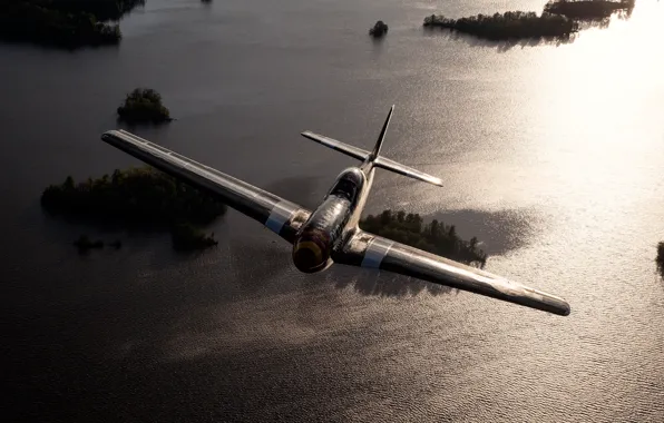 Fighter, Mustang, P-51, American, single, long-range