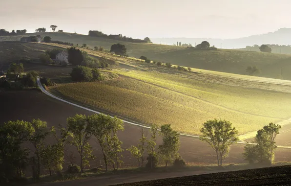 Landscape, italiano, natura, The rays of the morning