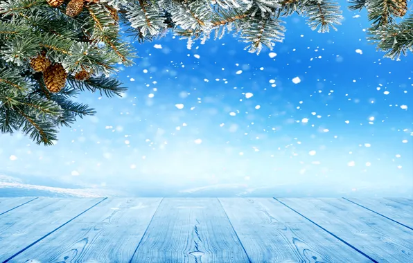Winter, snow, snowflakes, tree, bumps, nature, winter, snow