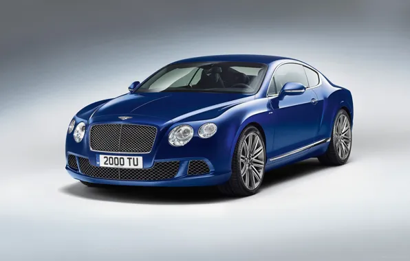 Bentley, Continental, Blue, Speed, (2013)