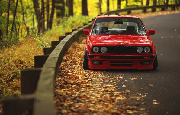 Road, autumn, leaves, BMW, E30