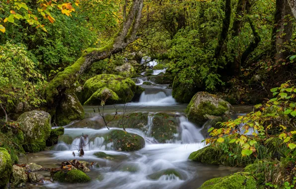 Picture forest, stream, France, river, cascade