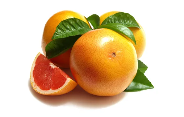 Leaves, close-up, slice, white background, fruit, grapefrukt