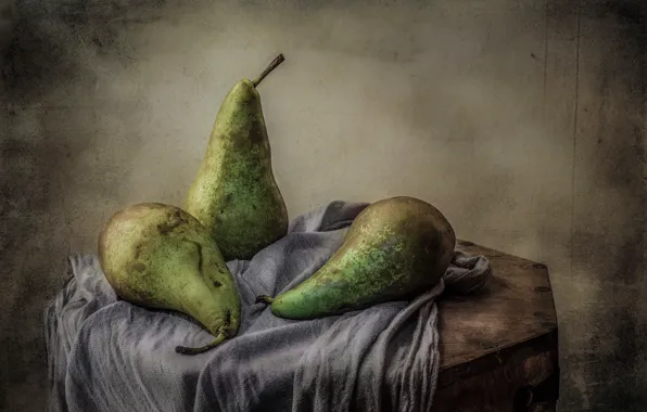 Fruit, still life, pear