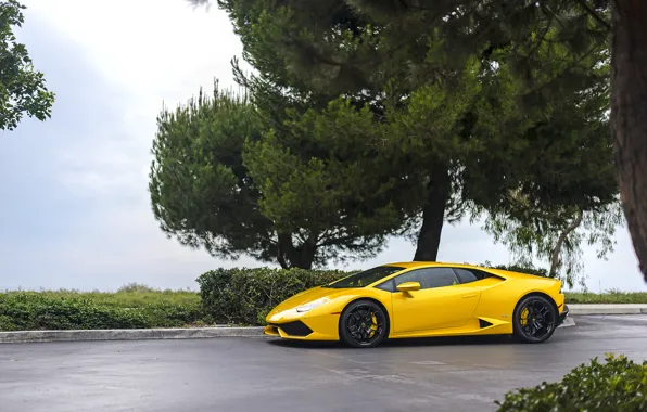 Picture Lamborghini, Yellow, Huracan