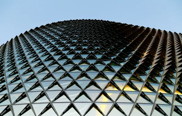 Windows, Australia, architecture, building, structure, construction, Adelaide, North Terrace