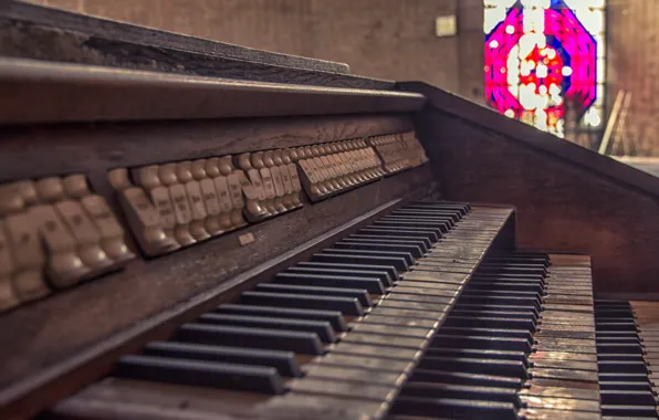 Music, background, body