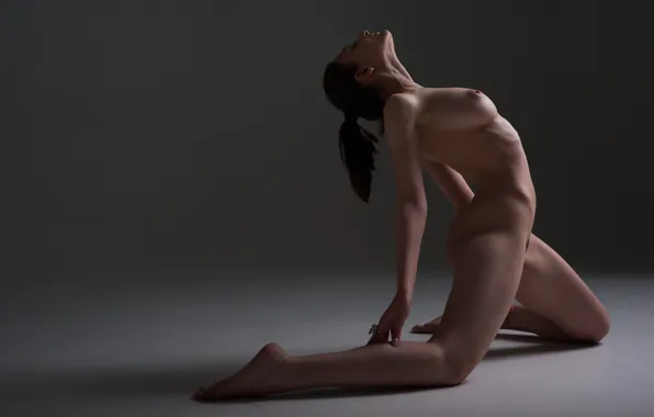 Chest, girl, background, model, naked, body, figure, hairstyle