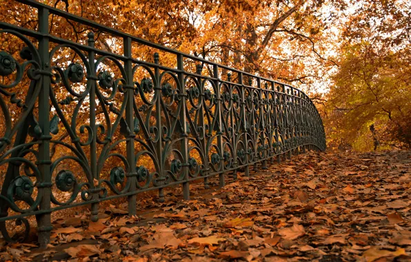 Picture autumn, leaves, street, the fence