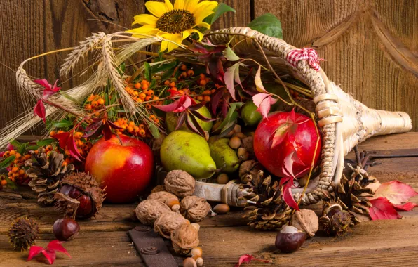 Picture fruit, nuts, basket, bumps, Rowan, the gifts of autumn