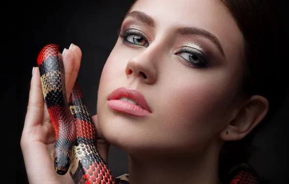 Picture look, girl, face, background, hand, portrait, snake, makeup