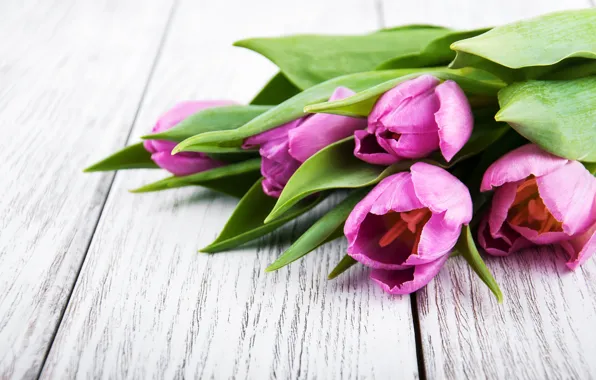 Picture flowers, bouquet, tulips, love, wood, flowers, romantic, tulips