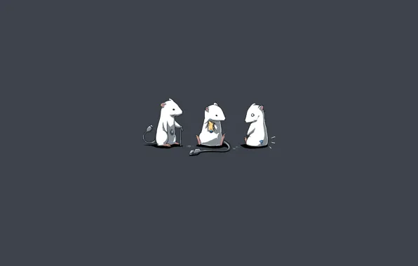Mouse, trio, mouse