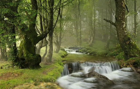 Forest, trees, river, waterfall, Spain, cascade, Spain, Navarre