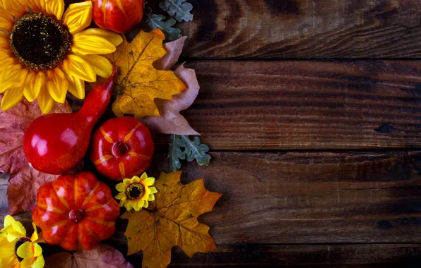 Autumn, leaves, background, Board, colorful, pumpkin, maple, wood