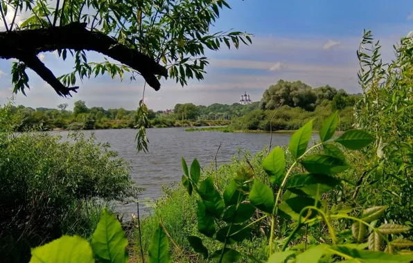 Landscape, nature, view, Verba, ash, Bryansk, Svensky Monastery, Desna River