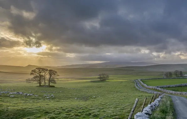 Road, field, the sky, landscape