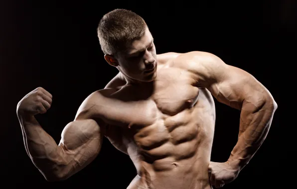 Pose, figure, muscle, muscle, muscles, press, athlete, Bodybuilding