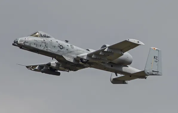 Flight, attack, Thunderbolt II, A-10C